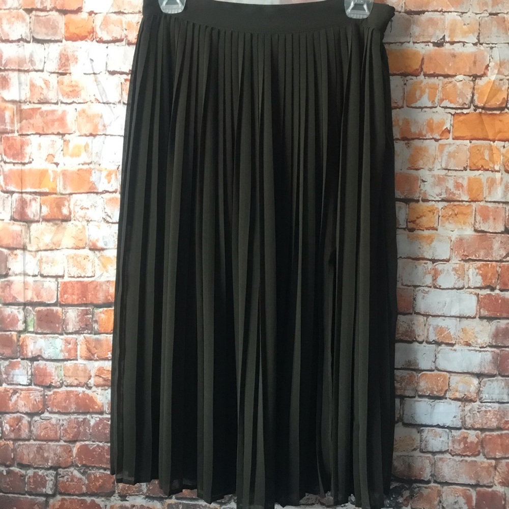 Pleated Semi - Sheer Midi Skirt w/ shorts